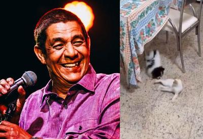 Zeca Pagodinho faz apelo após desaparecimento de gatinha; veja